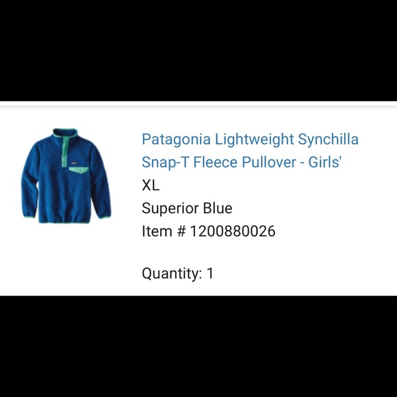 Patagonia Synchilla Pullover - Picture 2 of 4